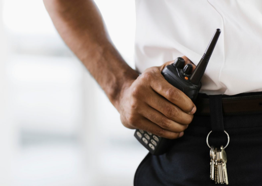 controllo accessi, sicurezza eventi